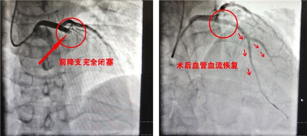 图片2.1.jpg